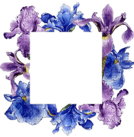 flower frame - png grátis