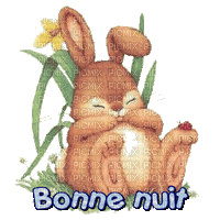 bonne nuit doux rêves - Free animated GIF