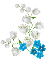 valley flowers by nataliplus - Ücretsiz animasyonlu GIF