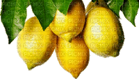 lemon fruit bp - Бесплатни анимирани ГИФ