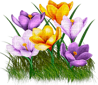 Y.A.M._Spring Flowers Decor - 免费PNG