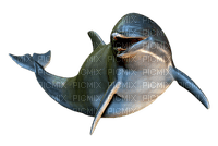 Dauphins - Free PNG