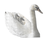 swans bp - фрее пнг