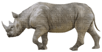 Kaz_Creations Animals Rhino - nemokama png