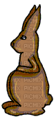 chocolate easter bunny gif paques lapin