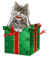 Noël.Cat.Chat.Gato.Christmas.Victoriabea