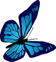 Butterfly- pages -2 - бесплатно png
