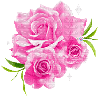 Fleurs.Roses.Pink.Bouquet.Victoriabea - GIF animé gratuit