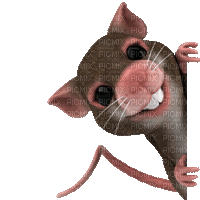 mouse bp - Gratis animeret GIF