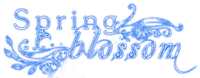 Spring Blossom.Text.Blue - ilmainen png