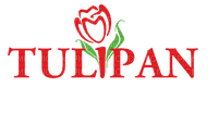 Tulip Flower Text - Bogusia - PNG gratuit