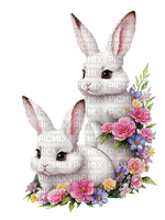 Easter.Rabbit.Pâques.Lapin.Victoriabea - Free PNG