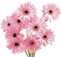 flowers - ingyenes png