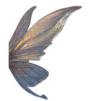 Fairy Wings - nemokama png