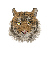 Tiger - δωρεάν png