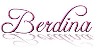 Kaz_Creations  Names Berdina - gratis png