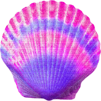 Seashell.Pink.Purple - PNG gratuit