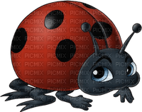 Kaz_Creations Ladybugs Ladybug - darmowe png