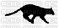 puma - GIF animé gratuit