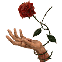 bleeding rose bp - Gratis animeret GIF