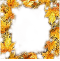 loly33  frame feuilles automne - gratis png