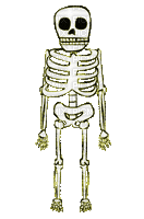skeleton gif halloween