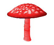 VanessaValo _crea = colorful mushroom - GIF animé gratuit