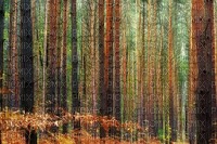 syksy  autumn  landscape  maisema - 免费PNG