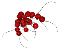 jul-bär-blomma-röd - PNG gratuit
