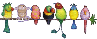 aves - GIF animado grátis