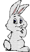 bunny - GIF animé gratuit