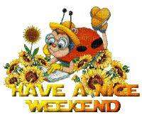 have a nice weekend - Free animated GIF