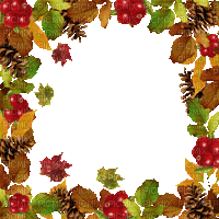 autumn automne leaves fall frame