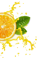 soave deco  summer fruit citrus scrap orange green - ingyenes png