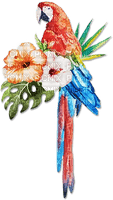 soave deco summer bird tropical parrot flowers - png gratuito