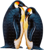Kaz_Creations Penguins 🐧 - ilmainen png