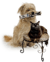 chien et chat - darmowe png