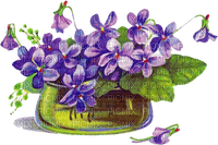 violets - darmowe png