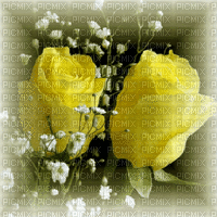 YELLOW ROSES jaune roses gif - GIF animé gratuit