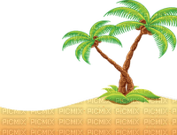 palmier - png grátis