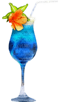 Cocktail.Flower.Orange.Blue - Free PNG