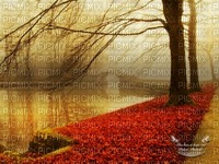 paisaje de otoño...jrc - zdarma png