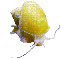 apple snail - GIF animado grátis