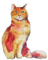 nbl-cat - 無料のアニメーション GIF
