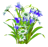 Animated.Flowers.Blue.White - By KittyKatLuv65 - Бесплатный анимированный гифка