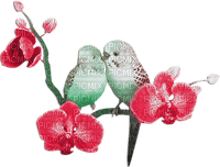soave deco summer tropical bird parrot branch - Free PNG