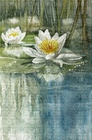 Lilly Pond - PNG gratuit