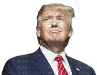 Kaz_Creations Donald Trump - png gratuito