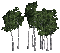 дерево. - Ücretsiz animasyonlu GIF