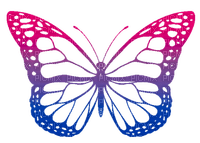 Bi Pride butterfly - bezmaksas png